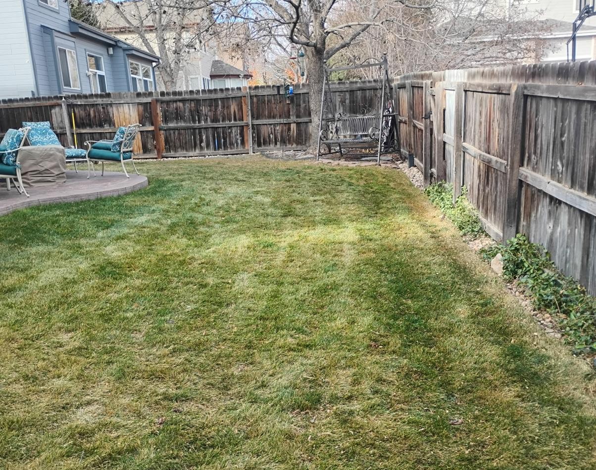 Seasonal Yard Cleanup - After